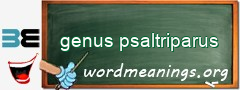 WordMeaning blackboard for genus psaltriparus